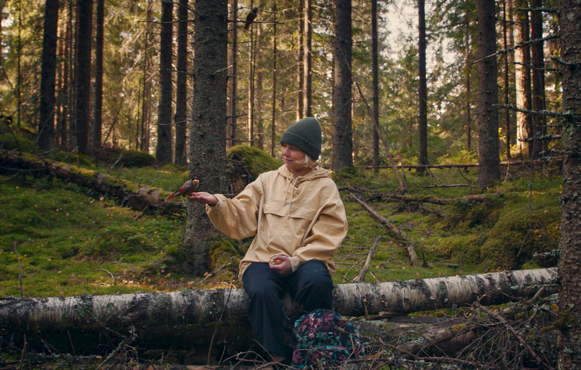 ONCE UPON A TIME IN A FOREST